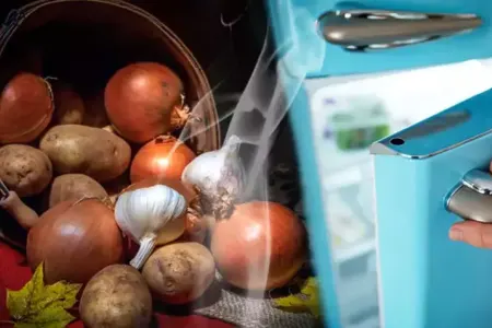 Bu 3 tərəvəzi soyuducuya - QOYMAYIN