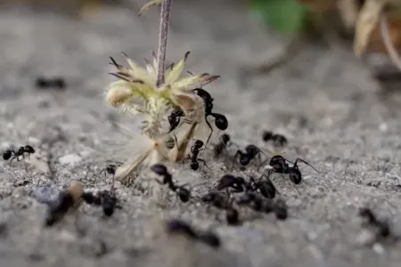 Bunu sınayana qədər heç kim bilmirdi: - Bir neçə dəqiqə ərzində...