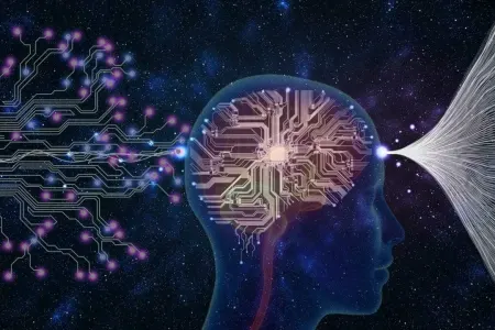 Psixopatların beyni fərqli quruluşa malikdir