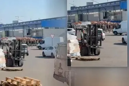 Azərbaycanlılar Moskva bazarında kütləvi saxlanıldı - Video