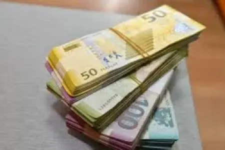 Sosial yardım məbləğində artımlar olacaq? - Deputat