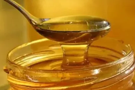 İqlim dəyişikliyi arıçılığa ciddi ziyan vurub – Balın qiyməti bahalaşacaq