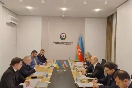 Ukrayna Azərbaycana minnətdarlığını bildirdi