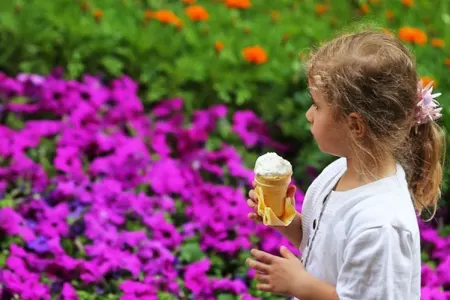 Ölkədə maksimal temperatur bu ərazilərdə qeydə alınıb