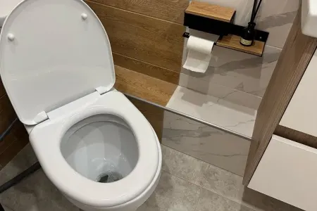 Tualetin qapağını açıq qoymayın: - Bunu birdəfəlik xatırlamalısınız