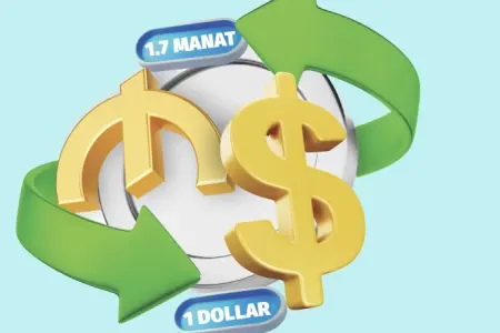 Manatın sabitliyinin gücü və riskləri: Sabit, yoxsa üzən məzənnə?