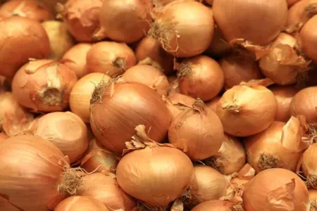 Marketlərdə soğan - YIĞIŞDIRILIR