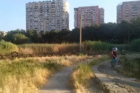 Bakıda bu əraziyə sahib çıxan yoxdur - Video