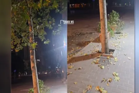 Yayın ortasında Bakıda - "Payız havası"