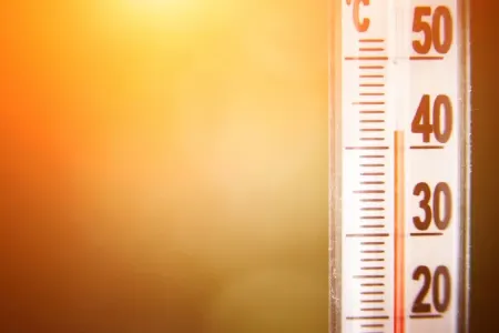 Professordan isti hava ilə bağlı XƏBƏRDARLIQ!