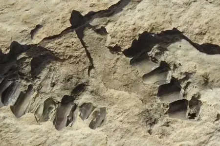 115 min illik izlər tapıldı -Tarixi dəyişə biləcək kəşf