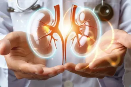 Yayda su itkisi böyrəklərə - ZİYANDIR!