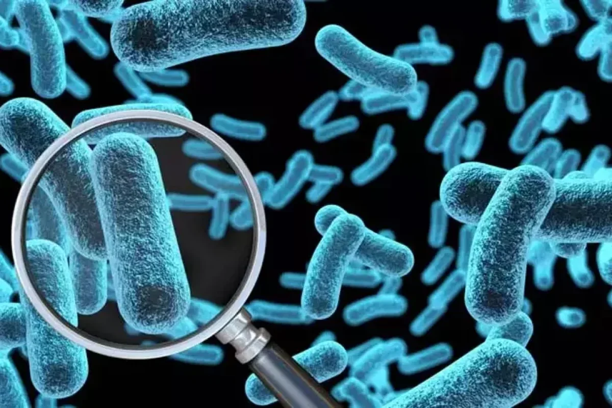 Mədə Xərçənginin əsas səbəbi - TAPILDI