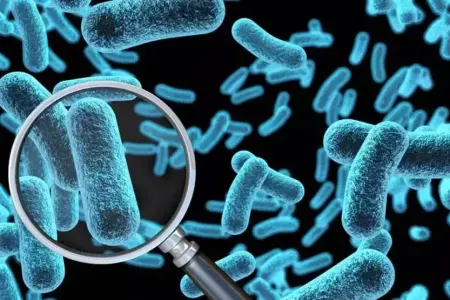 Mədə Xərçənginin əsas səbəbi - TAPILDI