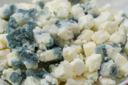 Bu qidaları buzluğa ATMAYIN: - Zəhərlənməyə yol açır