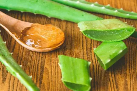 Aloye şirəsi nəyi müalicə edir?