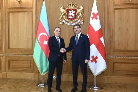 Ceyhun Bayramov Gürcüstan prezidenti ilə görüşdü
