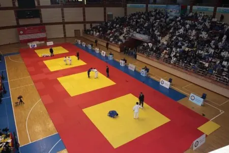 Azərbaycanın üç cüdoçusu Skopyedə qızıl qazandı