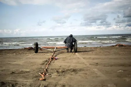 Xəzərdə suyun səviyyəsi rekord həddə düşüb: - balıqlar və suitilər təhlükədə