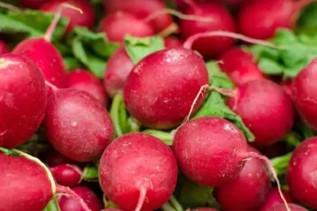 Turpun zərərləri AÇILQLANDI