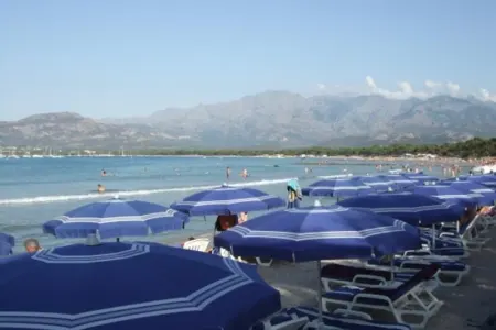 Bu məhsulları dənizə aparmayın - – SİYAHI