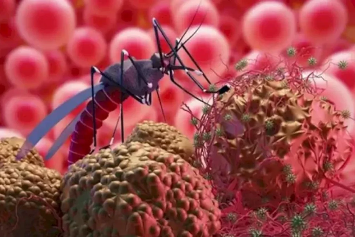 Təhlükəli virus sürətlə yayılır