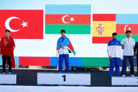 Azərbaycan paralimpiyaçıları İstanbulda 4 medal qazandılar