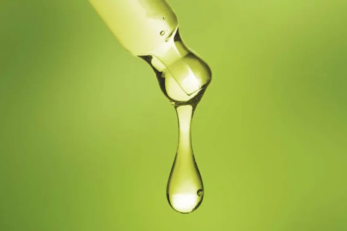 Zeytun yağını hansı sağlam yağ əvəz edə bilər? - Alimlər açıqladı