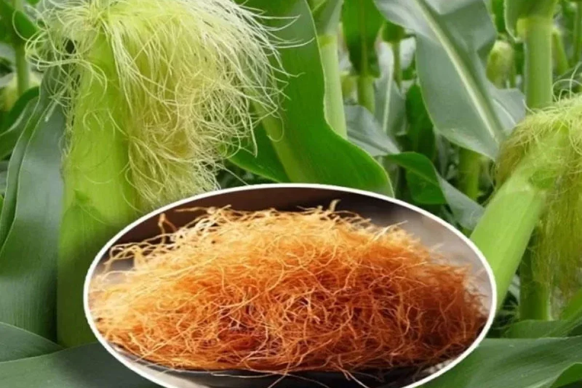 Qaraciyər və öd kisəsini bərpa edən 3 içki - Evdə hazırlayın