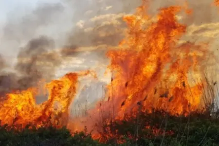 Ağdam, Xocalı, Xocavənd, Füzuli və Ağdərədə yanğınla mübarizə tədbirləri davam edir