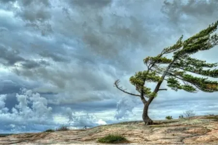 Küləkli hava şəraiti ilə bağlı sarı xəbərdarlıq edildi - BÖLGƏLƏR