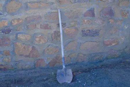 Evinə gələn qonağı bel ilə öldürdü