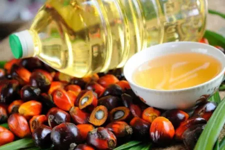 Elmi məlumatlara əsaslanan palma yağı haqqında 10 fakt