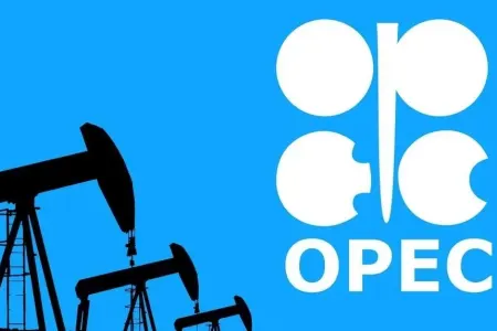 Neft hasilatı ilə bağlı qərar VERİLMƏYƏCƏK - OPEC