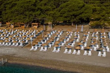 Nazirlik “pulsuz” dedi, amma...