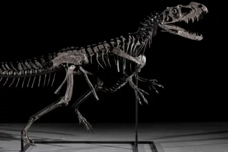 Tarixi əsər 30,5 milyon dollara satıldı