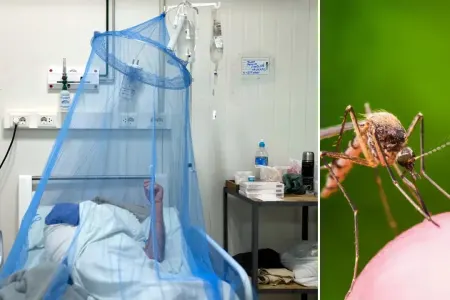 Çində virus təşvişi: - 4 min nəfəri keçdi