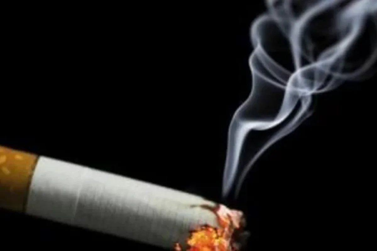 Siqaret dəhşətli yanğına səbəb oldu - VİDEO