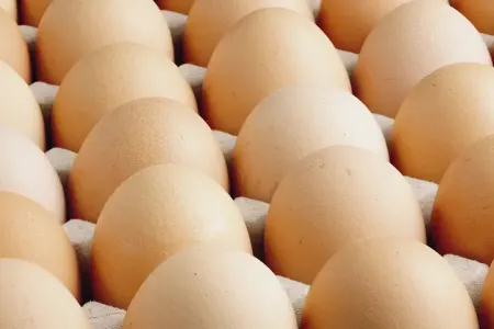 Yumurta satışında yeni qaydalar qüvvədədir