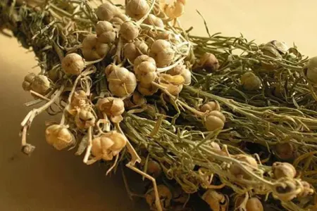 Ədliyyə Nazirliyindən üzərliklə bağlı vətəndaşlara - XƏBƏRDARLIQ