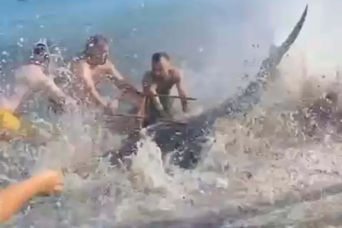 Qiymətli balıq tutduqlarını zənn etdilər, lakin...