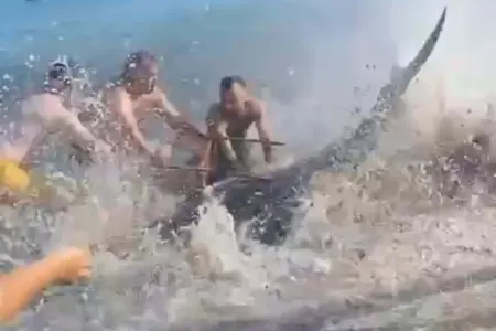 Qiymətli balıq tutduqlarını zənn etdilər, lakin...