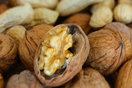 Qoz qabığı kifayətdir: - Heç kimin danışmadığı təbii möcüzə