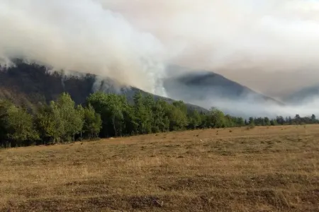 Qazaxda açıq ərazidə yanğın