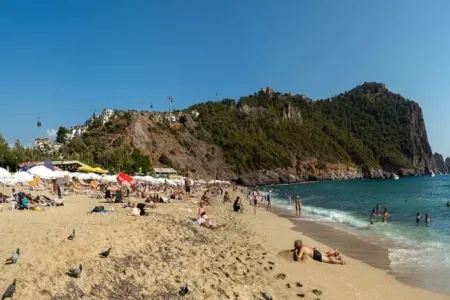 Təhlükəli canlı sahilə çıxdı - – çimərliklər bağlandı