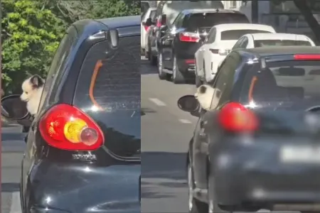 Qadın sürücünün bu hərəkəti gündəm oldu: - Polis hərəkətə keçdi