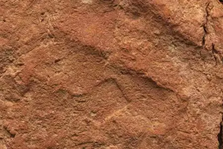 Məzarda 4 min illik insan əl izi aşkarlandı