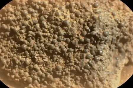 Marsda aşkarlanan bu əşya elm aləmində - HƏYƏCAN DOĞURDU