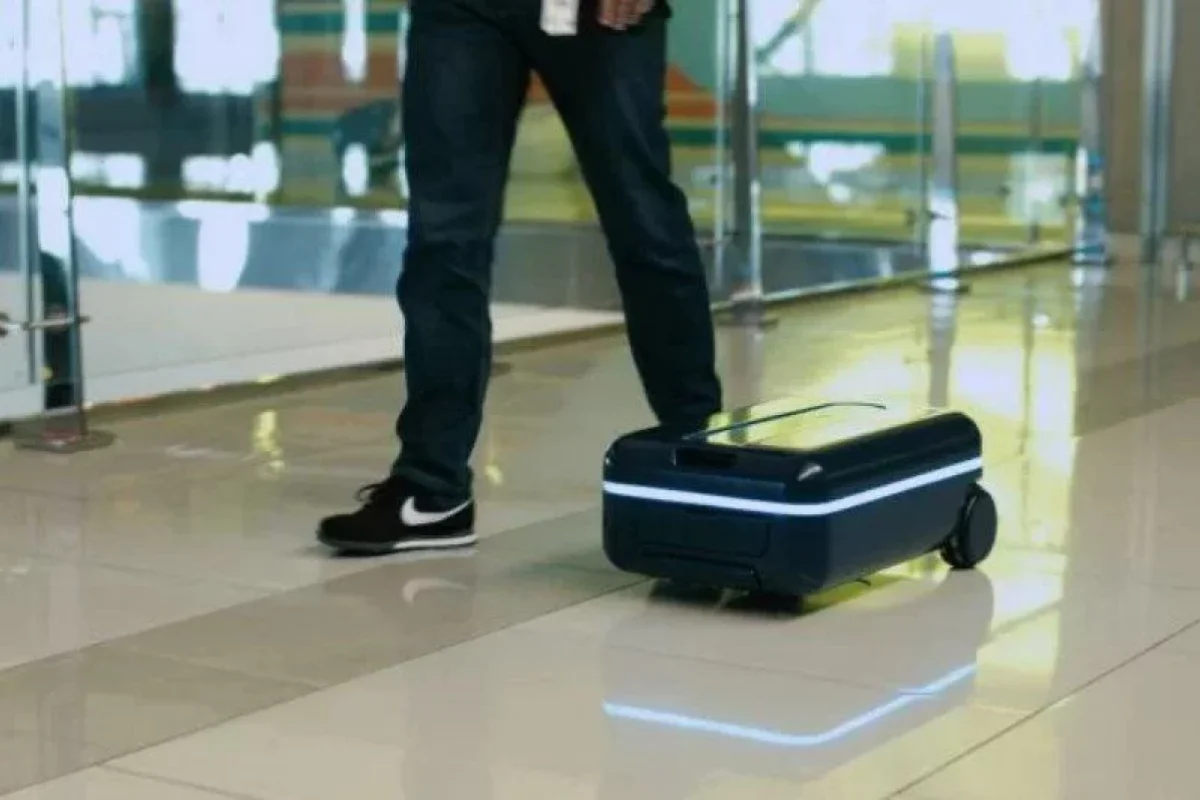 Türk Hava Yolları bəzi çamadanlara yasaq qoydu