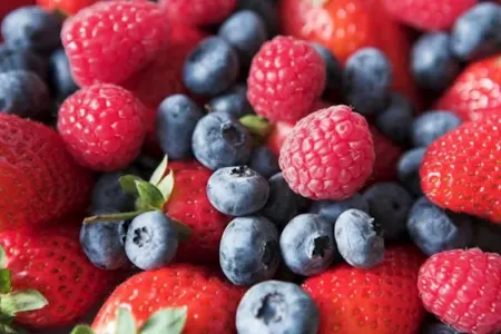 Bu qidalar ömrü uzadır